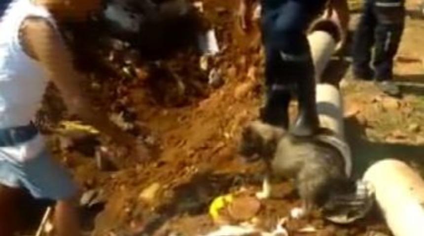 Su Borusunda Mahsur Kalan Yavru Köpek Kurtarıldı