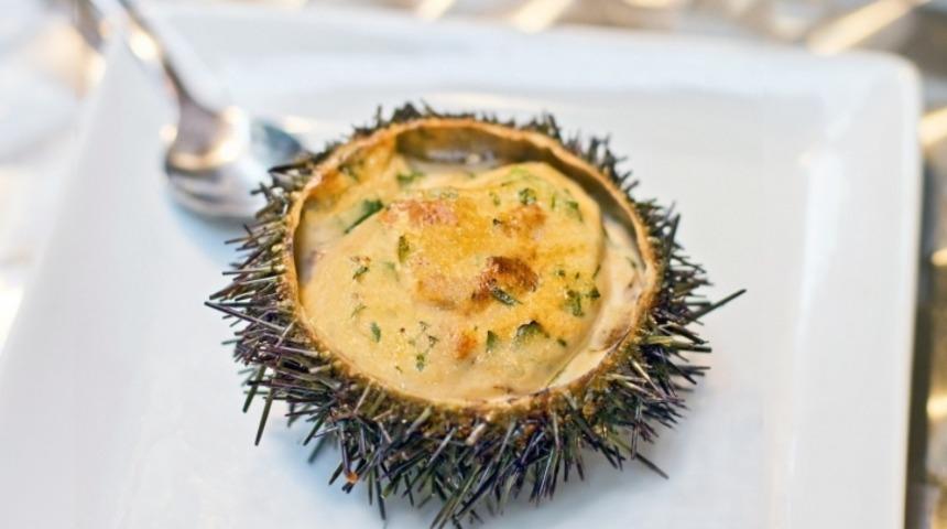 Tereyağında Deniz Kestanesi