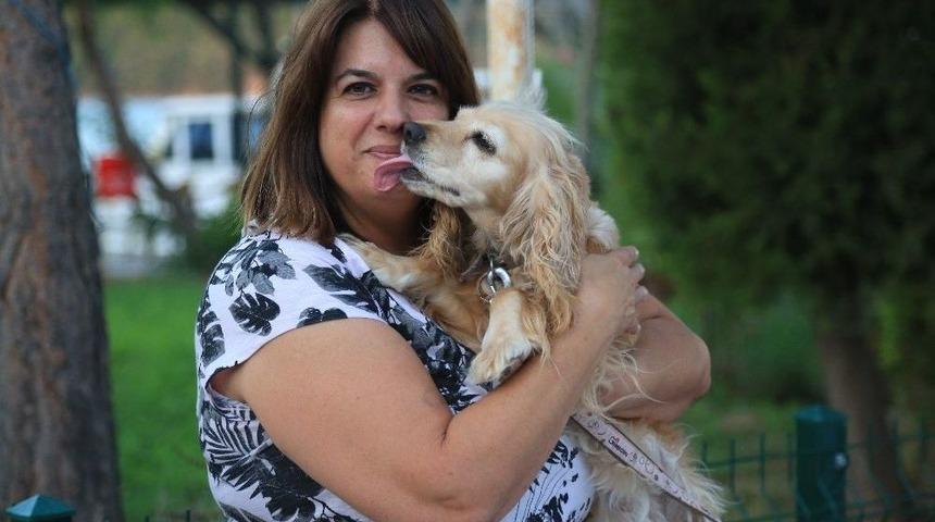 Emily Sokak Hayvanları İ&ccedil;in &Ccedil;alışıyor