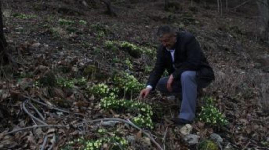 Akdağ&rsquo;da İlkbahar