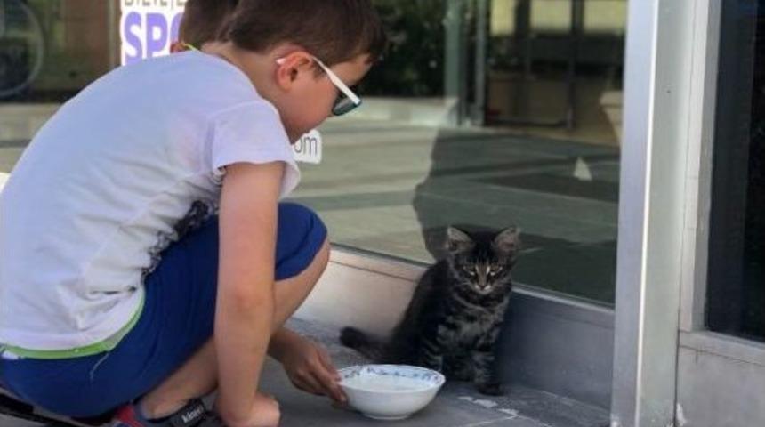 Su Giderine Sıkışan Kediyi Çocuklar Kurtardı