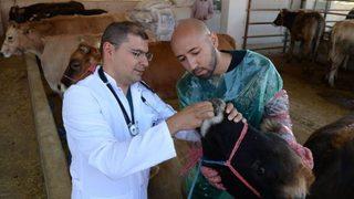 Altındağ Belediyesinden Kurbanlıklara Sağlık Taraması