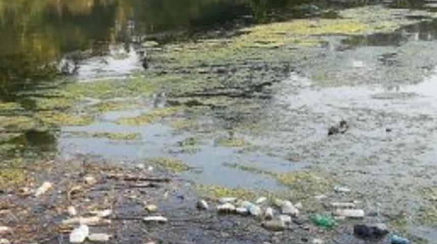 Piknik Sonrası Geriye &Ccedil;&ouml;pler Kalıyor