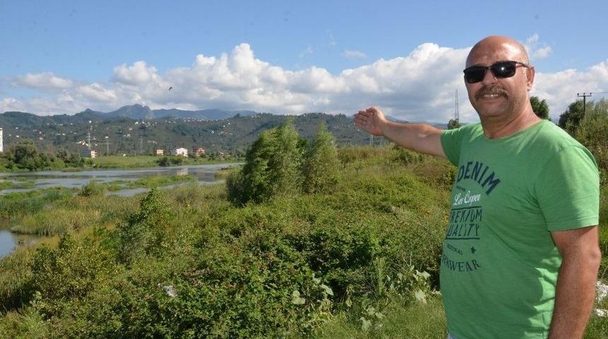 Prof. Dr. Aşkın: &ldquo;karadeniz&rsquo;in Toprak Haritası &Ccedil;ıkarılmalı&rdquo;