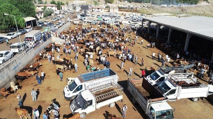 Diyarbakır&rsquo;da Kurbanlıklar Zararına Satılıyor