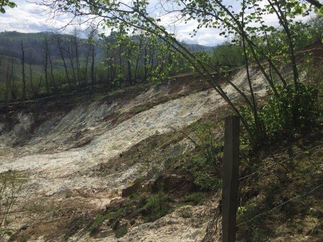 Prof. Dr. Aşkın: “karadeniz’in Toprak Haritası Çıkarılmalı”