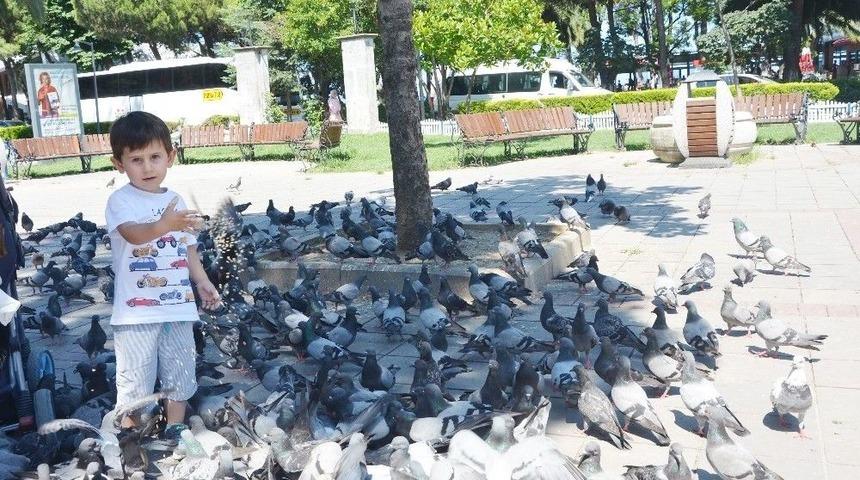 Dondurma Değil Kuş Yemi İstiyor