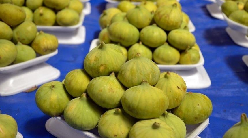 (özel) Tezgahların İlk İnciri El Yakıyor