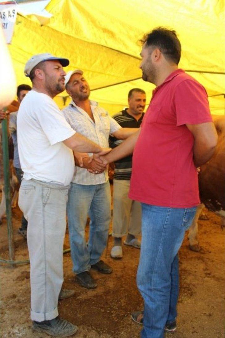 Demokratik Çadırın Keyifçi Danası G2