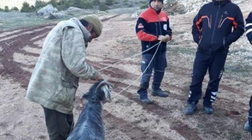 Bin 300 Rakımlı Dağda Mahsur Kalan Ke&ccedil;i Kurtarıldı