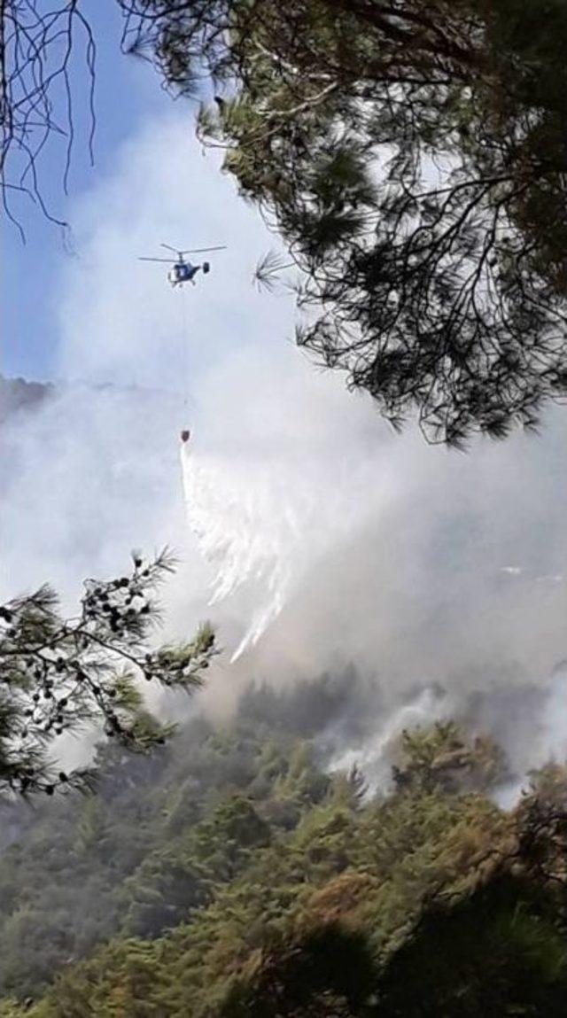 Antalya’da Orman Yangını (1)