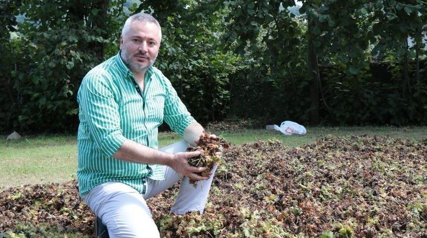 Feyzi: &ldquo;15 Tl&rsquo;den Aşağı Fındık Fiyatı Kabul Edilemez&rdquo;