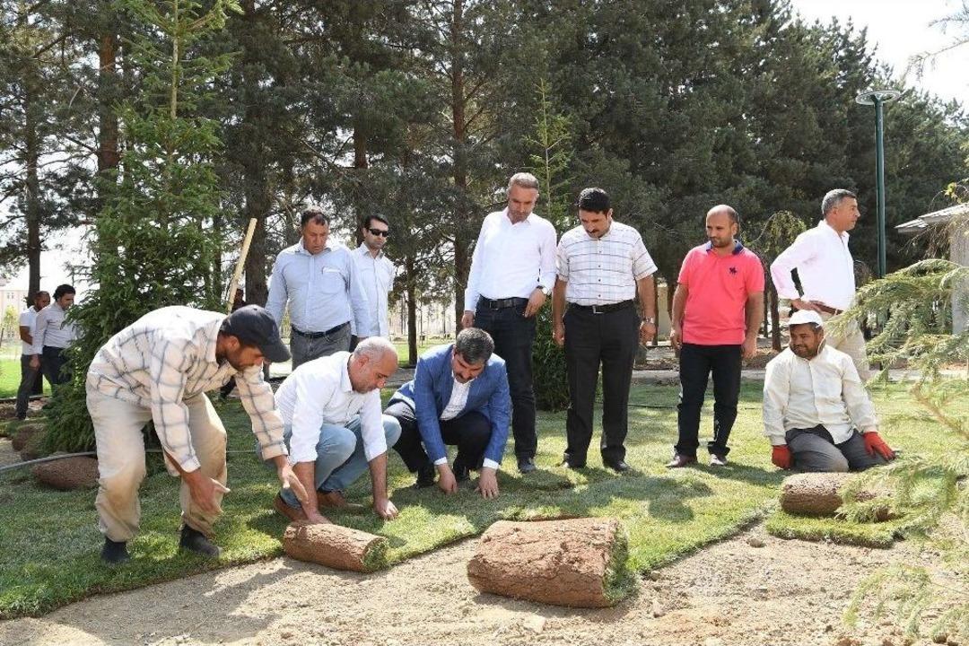 G&ouml;letli Park&rsquo;ta Yeşillendirme &Ccedil;alışması