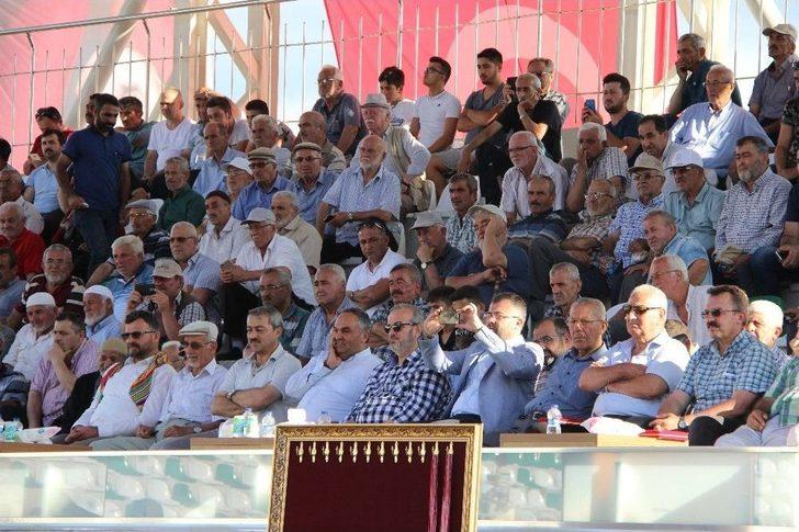 Düzce Yağlı Güreşleri Başpehlivanı Recep Kara Oldu G5