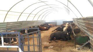 “emekli İkramiyelerinden Sonra Satışlar Daha Da Artacak”