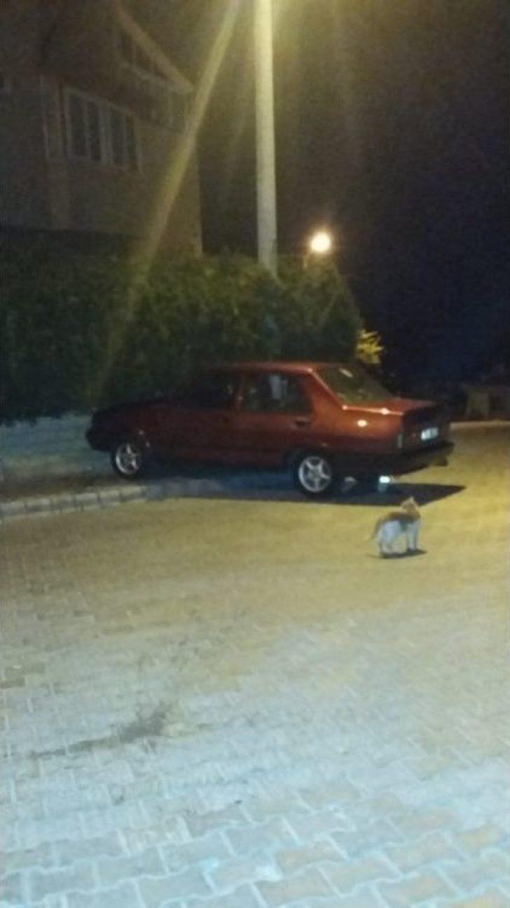 Evin Duvarına Çarpan Sürücü Aracını Bırakıp Kaçtı G5