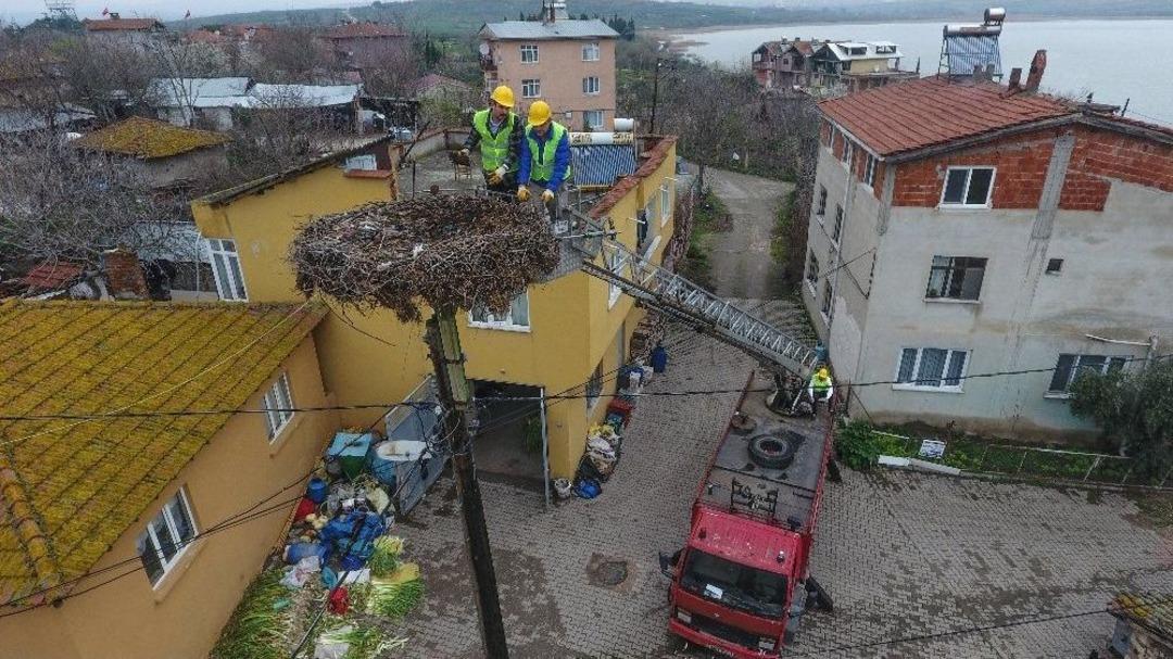 Leylek Yuvalarında Bahar Temizliği
