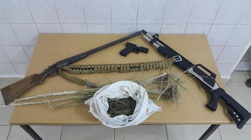 Çankırı’da 69 Kök Kenevir Ele Geçirildi