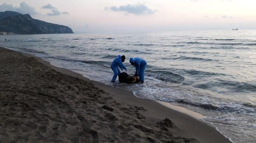Sahile Vuran Varil Ekipleri Alarma Ge&ccedil;irdi