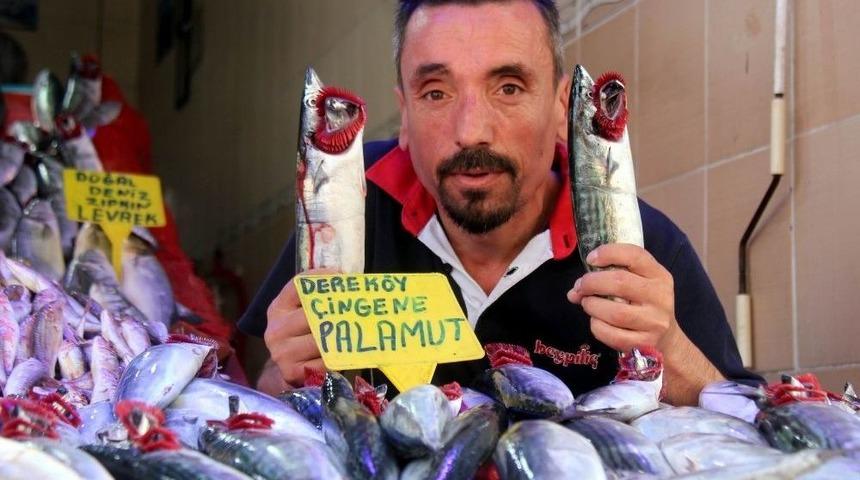 Ete Doyan Vatandaşlar Balığa Y&ouml;neldi