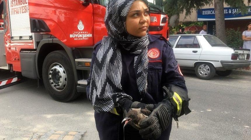 (&ouml;zel) Ağa&ccedil;ta Mahsur Kalan Yaralı Karganın İmdadına Kadın İtfaiyeci Yetişti