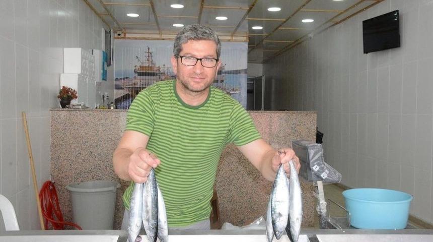 Sinop&rsquo;ta Palamutlar Tezgahlardaki Yerini Aldı