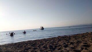 Çanakkale’de Korkutan Deniz Canlısı