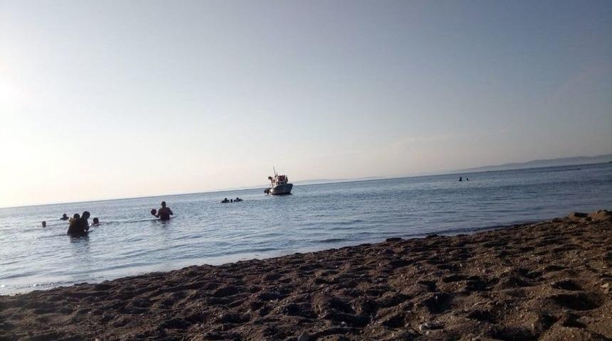 Çanakkale’de Korkutan Deniz Canlısı