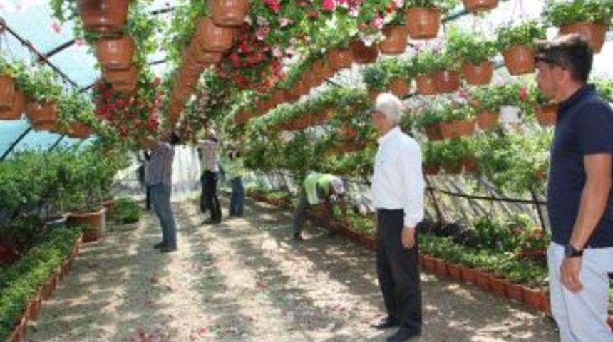 Renkli Festivalin Rengarenk &Ccedil;i&ccedil;ekleri Hazır