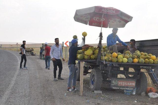 Bulanık Kavunu Tezgahtaki Yerini Aldı