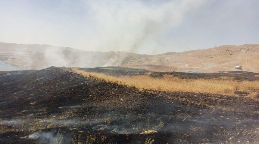 Alevler 65 D&ouml;n&uuml;ml&uuml;k Buğday Tarlasını K&uuml;l Etti
