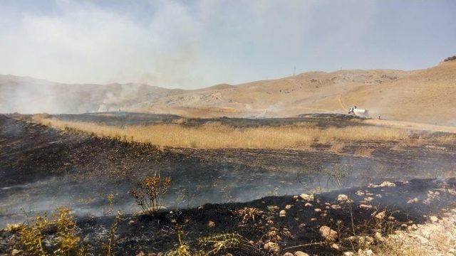 Alevler 65 Dönümlük Buğday Tarlasını Kül Etti