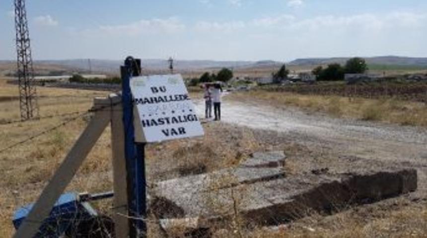 Şarbon Hastalığı Olan Çiftlikte Üst Düzey Önlem Alındı