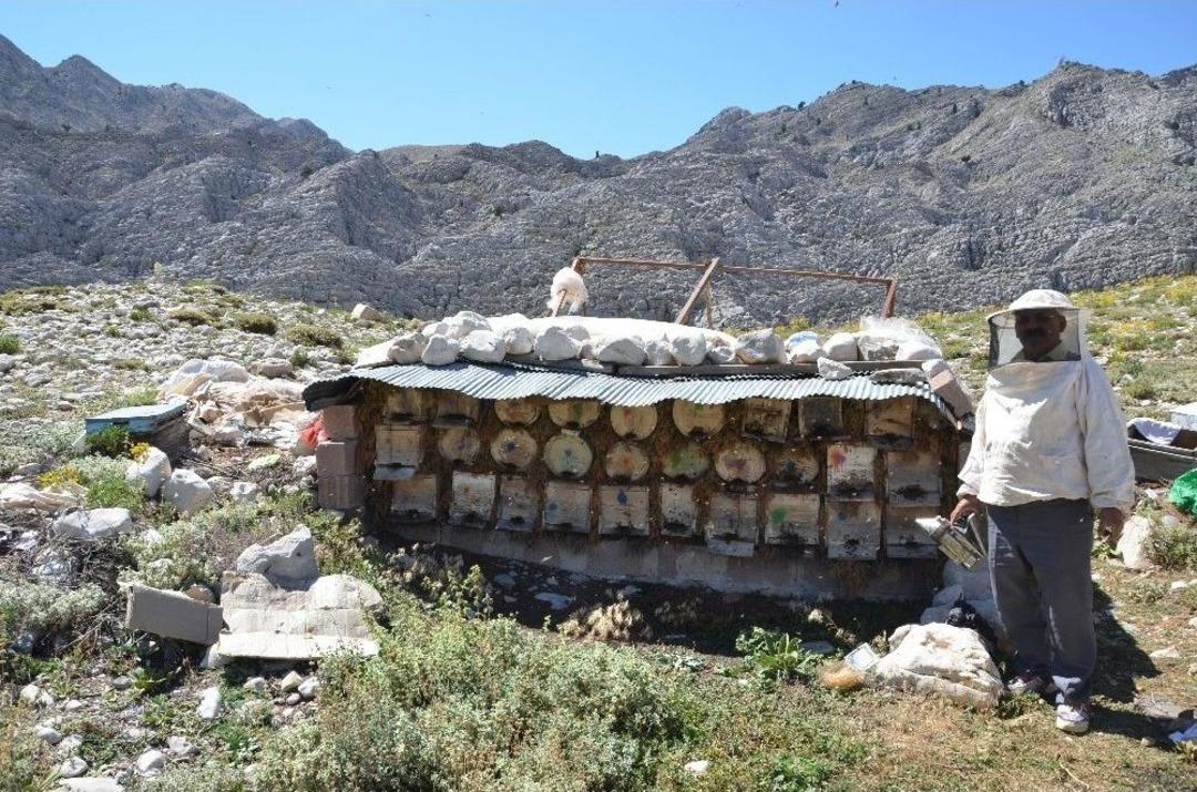 Akseki&rsquo;nin Meşhur &Ccedil;imi Yaylası Balı İklim Kurbanı Oldu