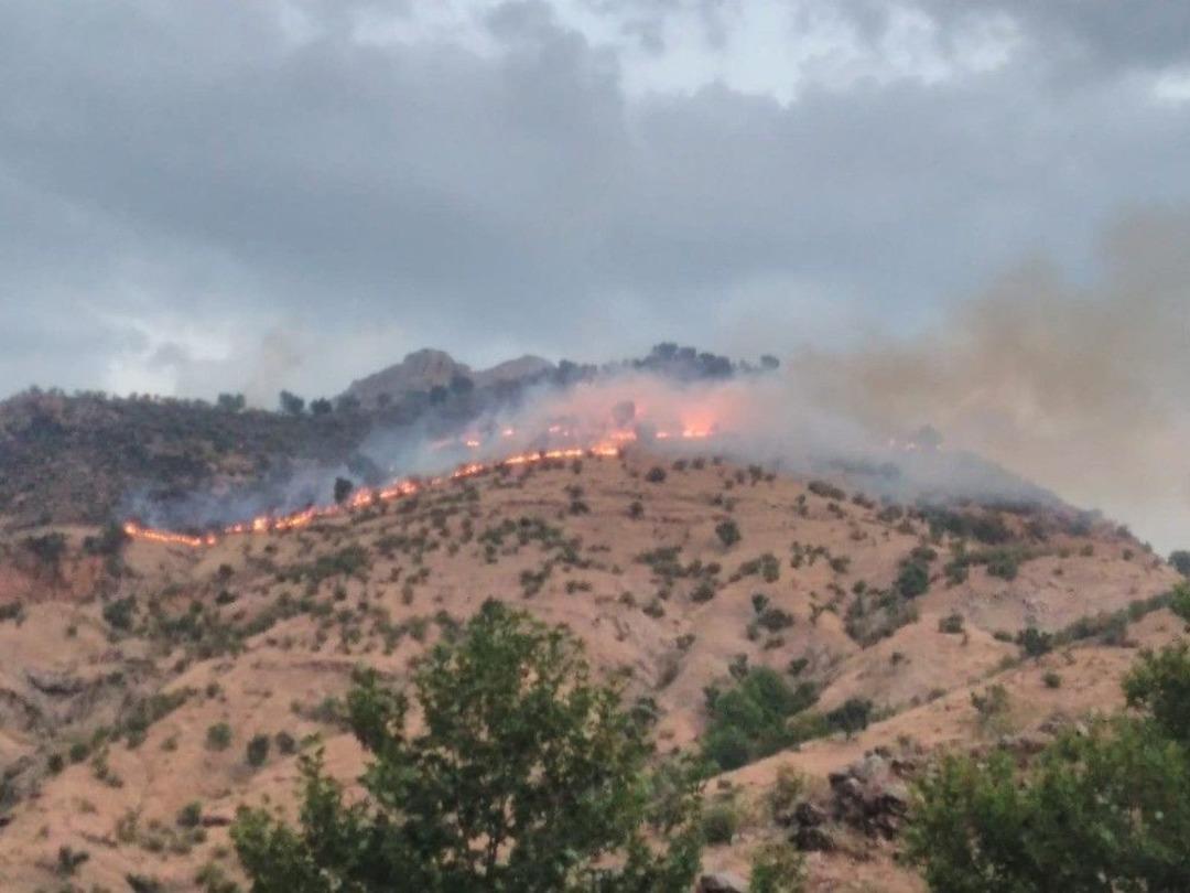 Batman&rsquo;daki Orman Yangını Kontrol Altına Alındı