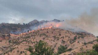 Batman’daki Orman Yangını Kontrol Altına Alındı