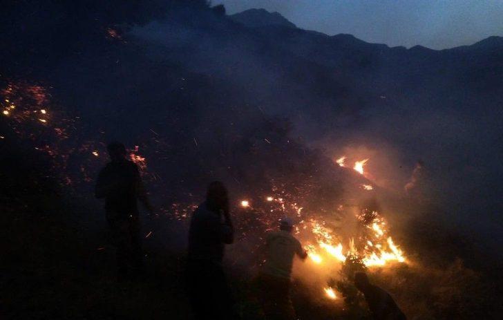 Batman’daki Orman Yangını Kontrol Altına Alındı G1