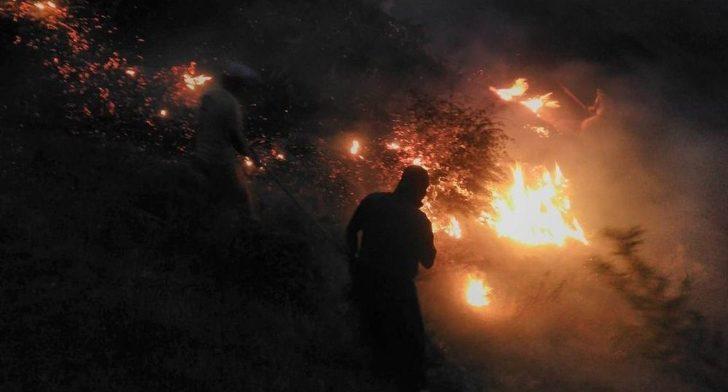 Batman’daki Orman Yangını Kontrol Altına Alındı G2