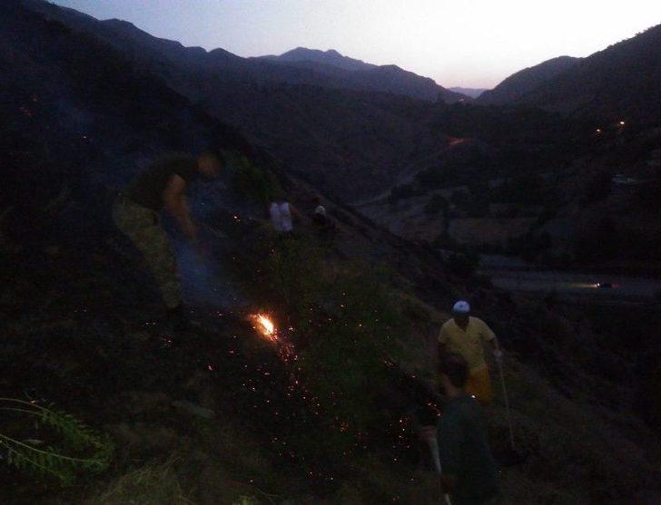 Batman’daki Orman Yangını Kontrol Altına Alındı G3