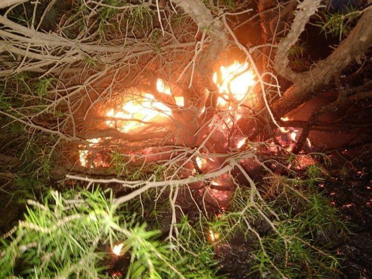 Batman’daki Orman Yangını Kontrol Altına Alındı G4