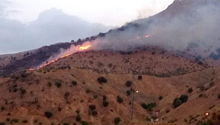 Batman’daki Orman Yangını Kontrol Altına Alındı G5