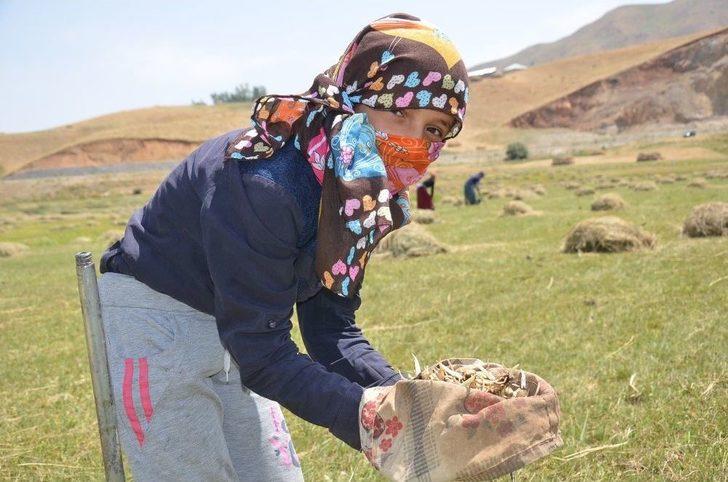 Salep Ekmek Kapısı Oldu G1