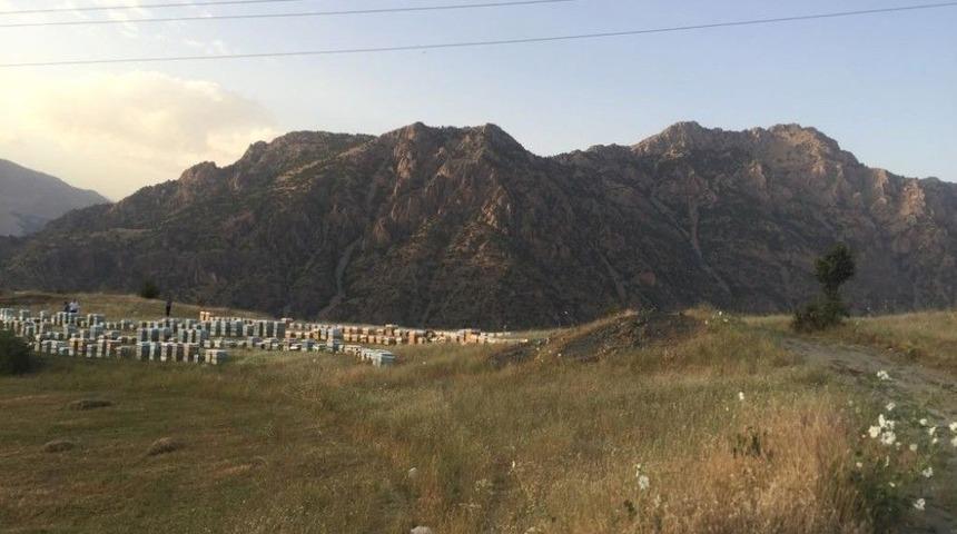 Tandoğan; "van Organik Bal &Uuml;retim Merkezi Olacak"