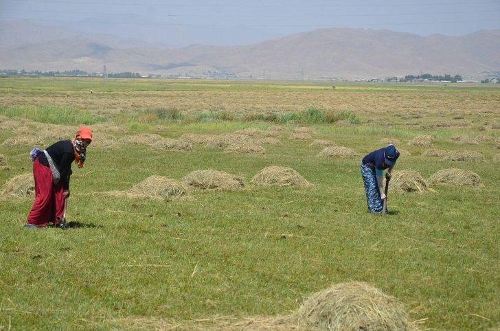 Salep Ekmek Kapısı Oldu G2