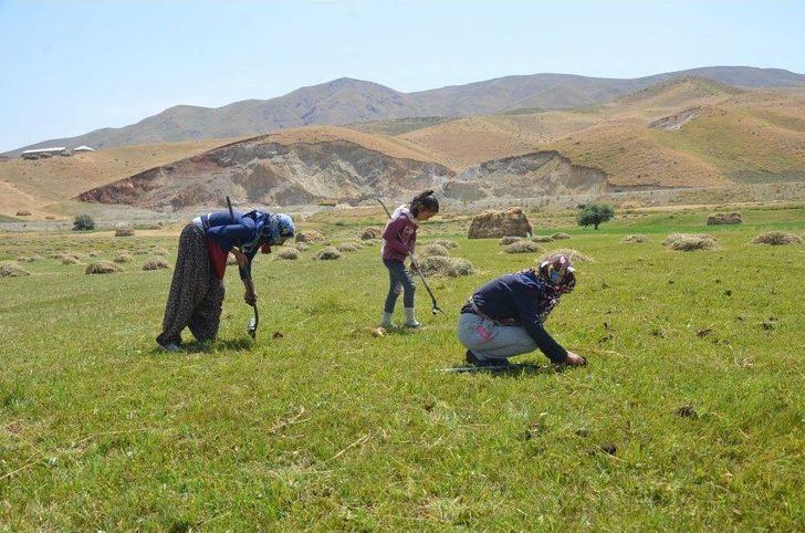 Salep Ekmek Kapısı Oldu G3