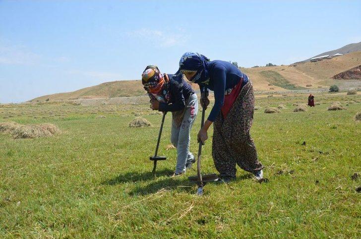 Salep Ekmek Kapısı Oldu G4