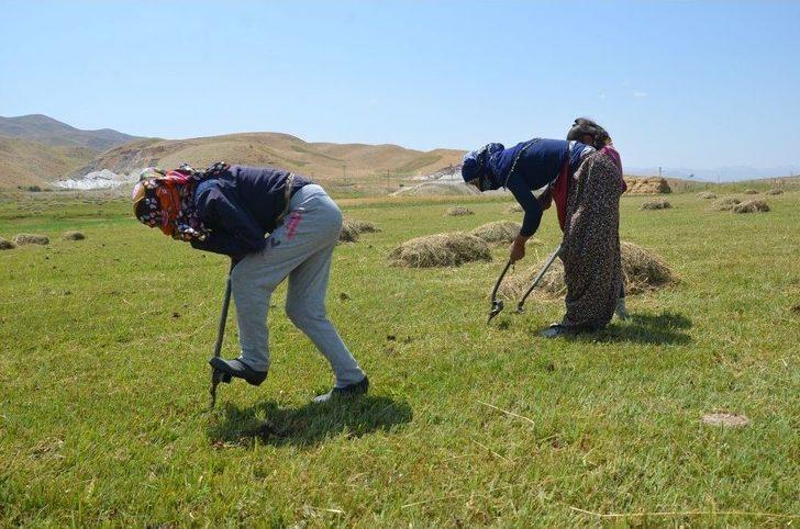 Salep Ekmek Kapısı Oldu G5