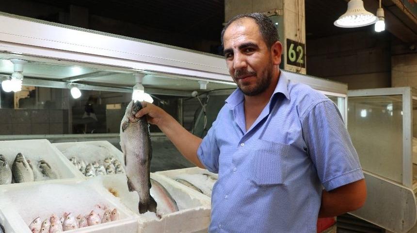 Balık&ccedil;ı Esnafı Sezonun A&ccedil;ılmasını Bekliyor