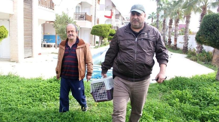 Sahibi Sınır Dışı Edilen Kedi İtfaiye Tarafından Kurtarıldı