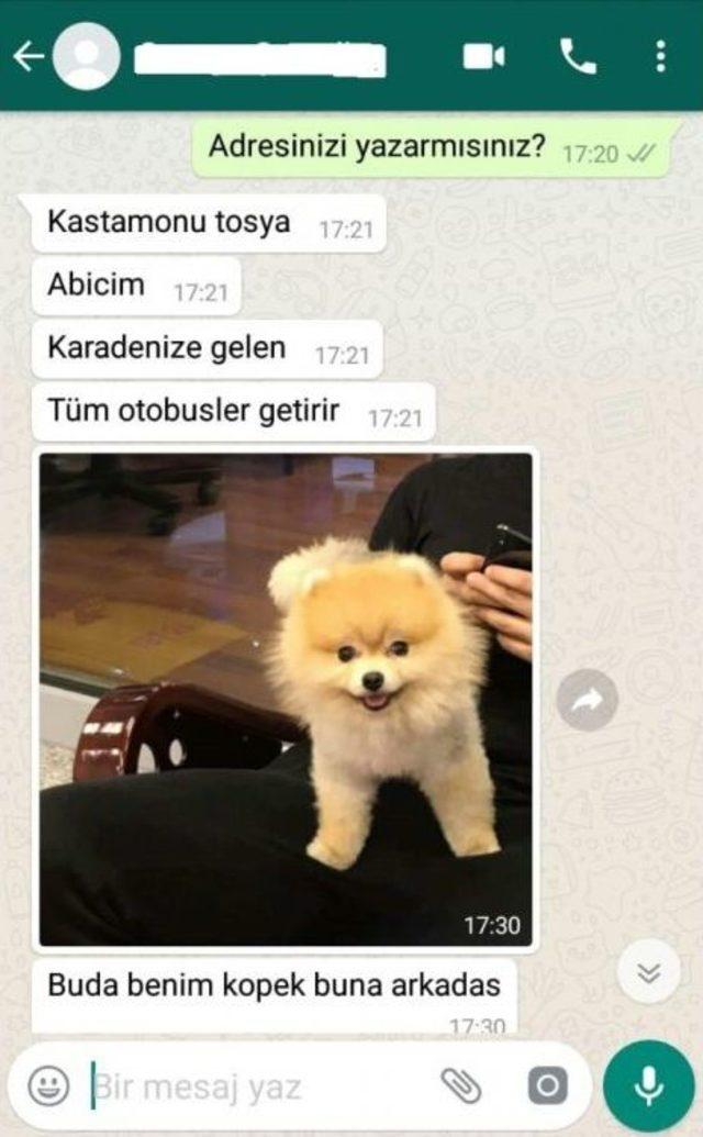 İnternetten Tanıştığı Şahsa Köpeğini Emanet Eden 13 Yaşındaki Genci Hastanelik Oldu